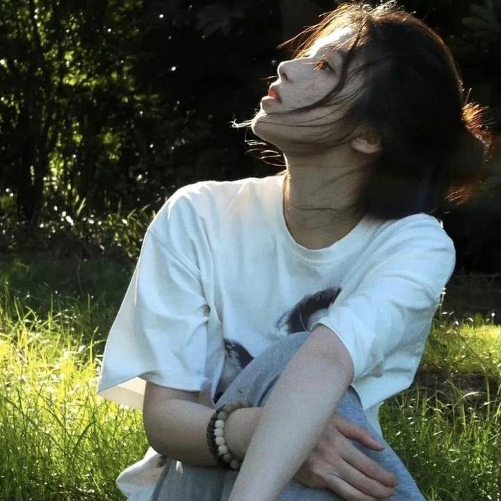 白天的星星